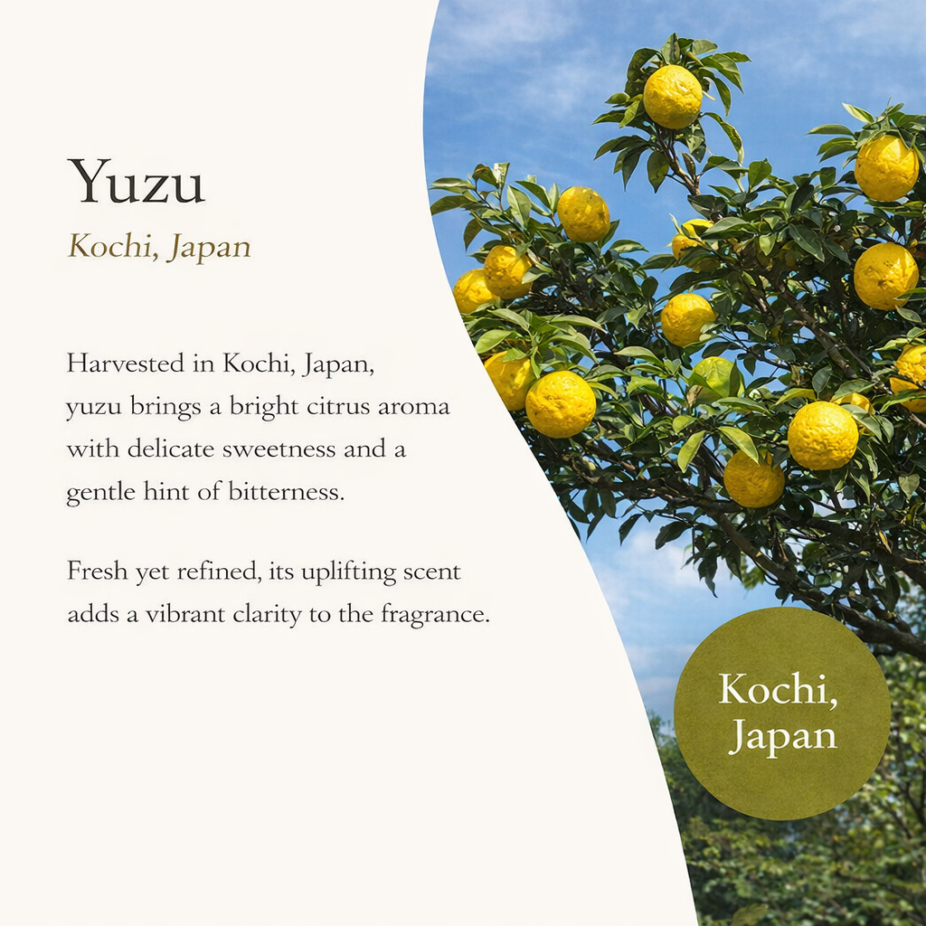 AROMIC YUZU Botanical Fragrance Mist